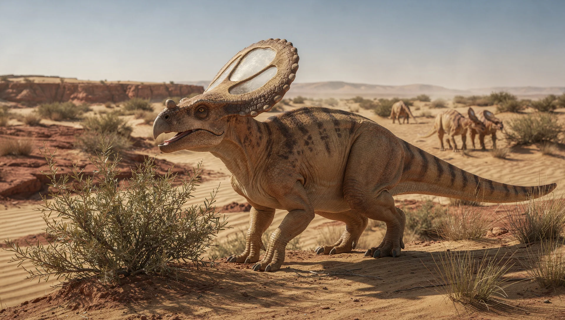 Protoceratops