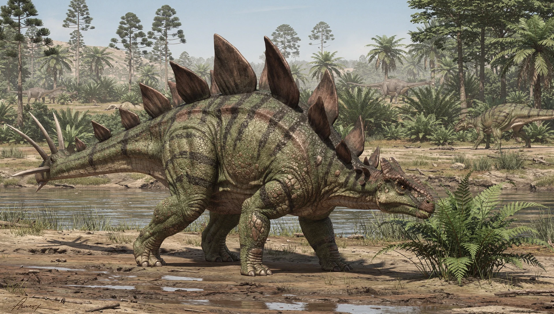 Stegosaurus