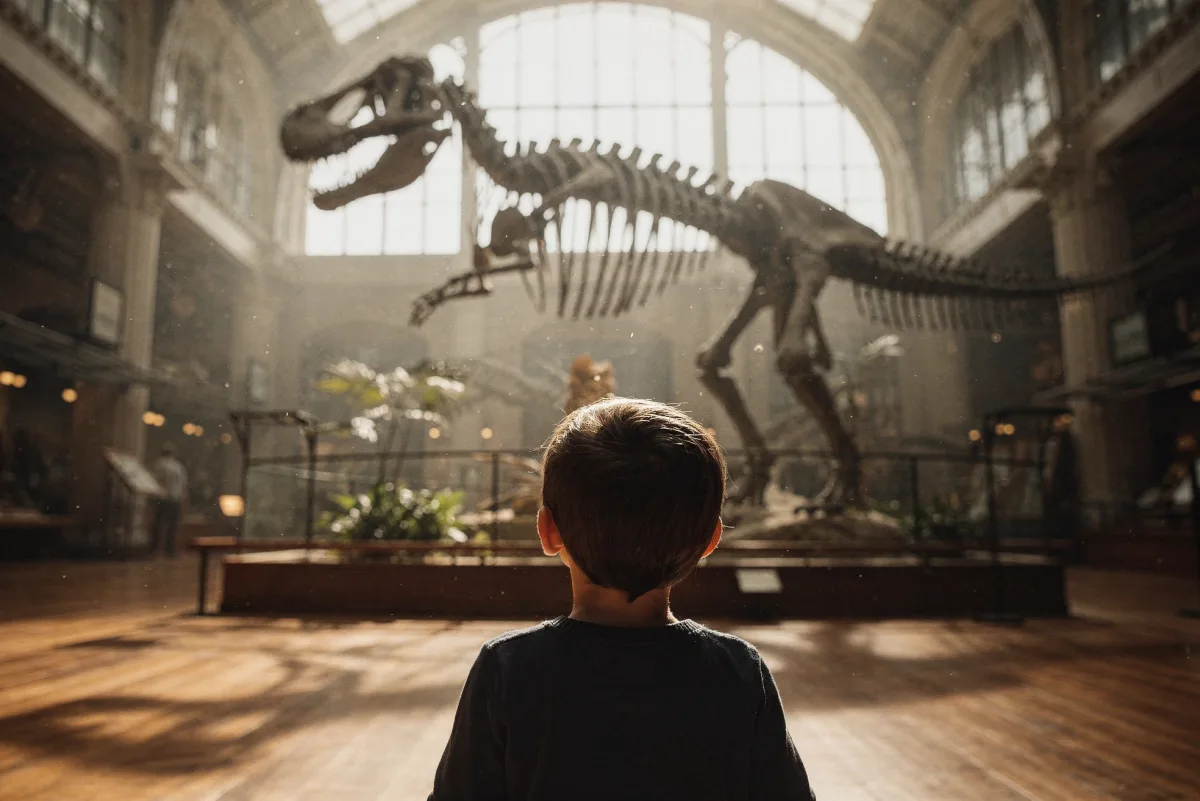 Kind von hinten steht ehrfürchtig vor einem riesigen montierten Dinosaurier-Skelett in einer Museumshalle mit warmem Gegenlicht