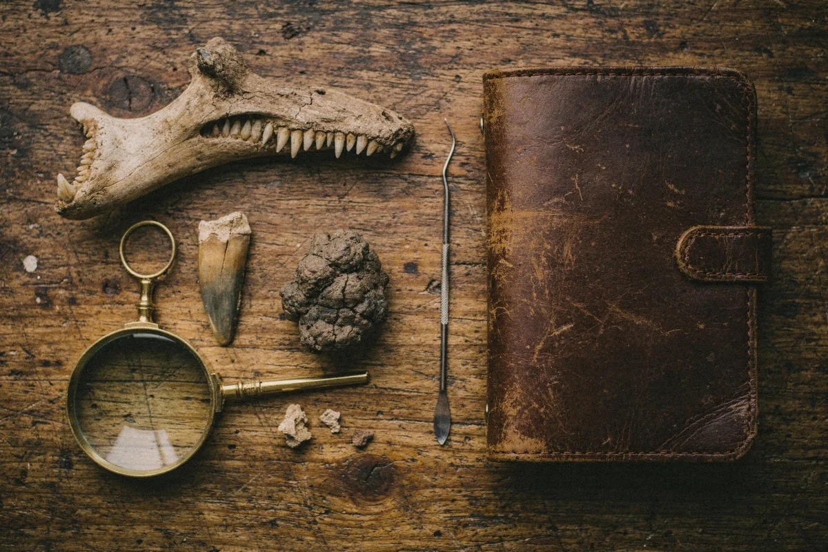 Arbeitstisch eines Paläontologen: fossiler Kieferknochen, versteinerter Zahn, Koprolith, Messing-Lupe, Dentalwerkzeug und Leder-Feldnotizbuch