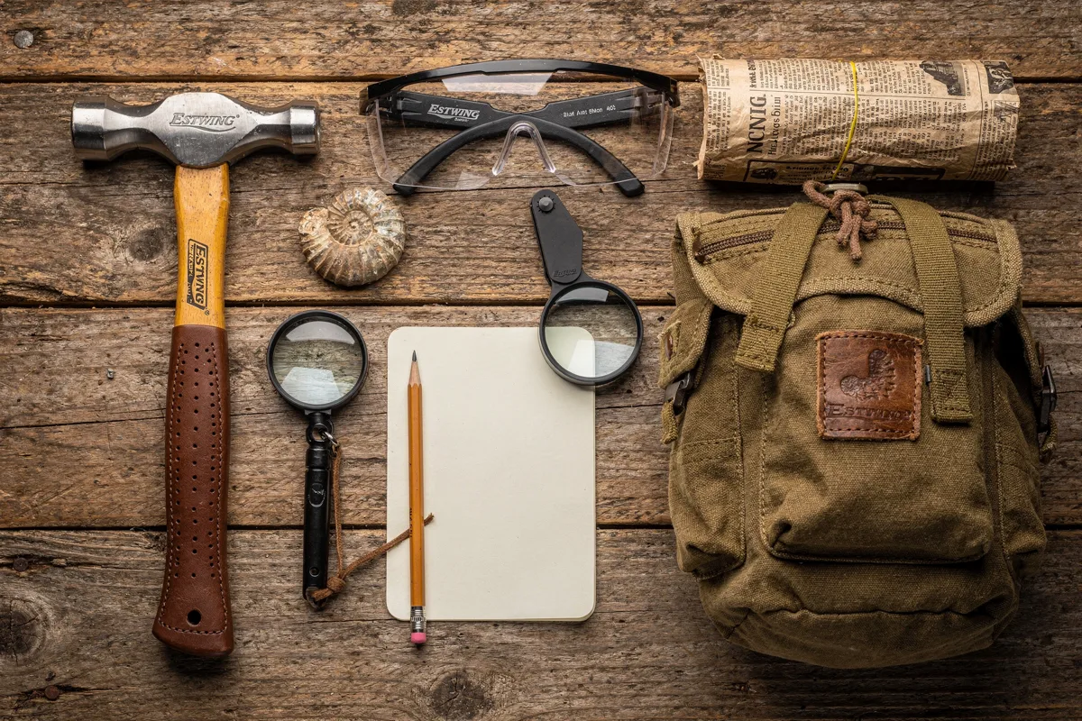 Kinderhand hält mehrere honigfarbene Bernsteinstücke über einem Ostseestrand im kühlen Morgenlicht, im Hintergrund Spülsaum mit Seetang und Treibholz
