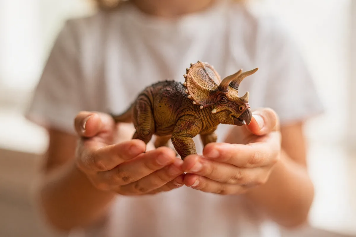Kind hält stolz eine Triceratops-Figur in den Händen
